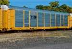 TTGX 988684